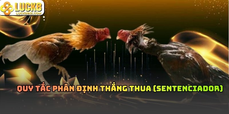 Cựa Dao Philippines chuẩn bị trước trận đấu