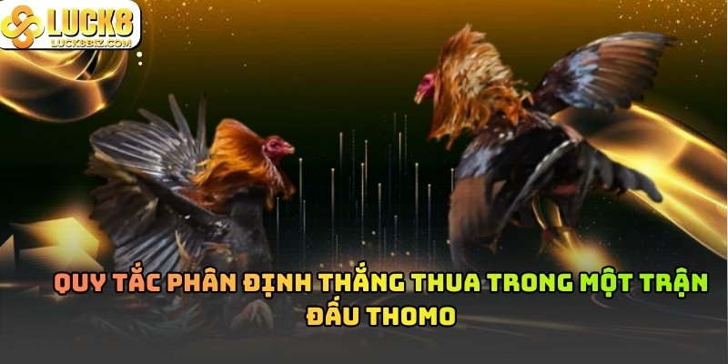 Quy tắc khi chơi Đá Gà Thomo