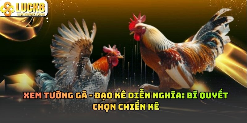 Xem tướng gà